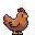 chicken