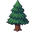 pine tree, tall, dark green